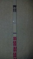 IMG_20130603_104422_206.jpg