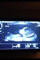 12wks.jpg