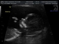 scan.jpg