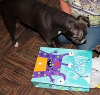 delilah is one 003.jpg