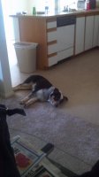 maxx.jpg