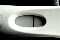 frer.jpg