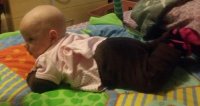 IMG_20130612_171553.jpg