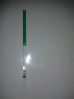 20130613_155542.jpg