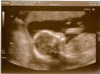 scan0001.jpg