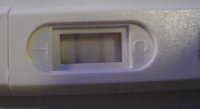 DSC02591.jpg
