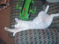 Moment pictures 157.jpg