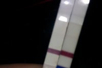 result11dpo.jpg