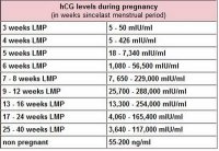 hCG levels.jpg