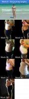 belly pix web.jpg
