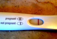 FRER_tweaked_crop.jpg