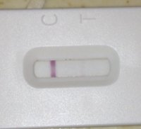 12dpo.jpg