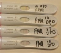 fmuprogression.jpg