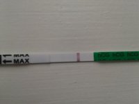 B&M TESTS 010.jpg