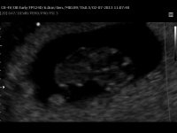 8W_0004.jpg