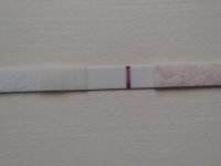 more b&m tests 002.jpg