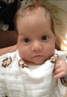 11 weeks.jpg