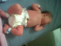 IMG00720-20120214-1609.jpg