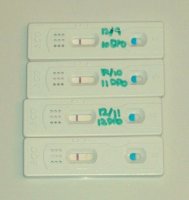 tests1.jpg