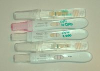 tests3.jpg