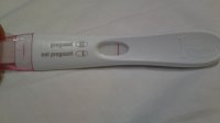 14122009017 small.jpg