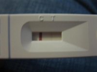 pregnancy test December 2009.jpg