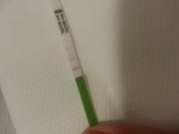 test.jpg
