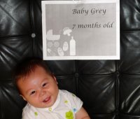 Baby Grey 7 months old - 1.jpg