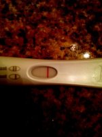 photo (5).jpg