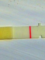 IMG_1048.jpg