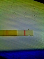 IMG_6396.jpg
