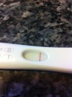 test - 10 dpo.jpg