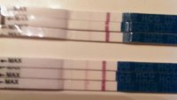 10 & 11 DPO.jpg