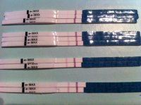 10, 11, 12, 13 DPO.jpg