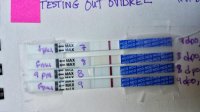 progression test #5.jpg