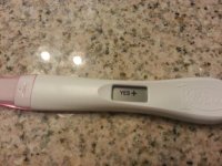 15dpo digi.jpg