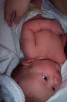 100_37834.jpg