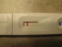 13dpo.jpg