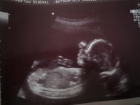 21 weeks BOY!.jpg