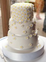 white with daisies.jpg