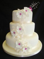 white with white and pink flowers.jpg