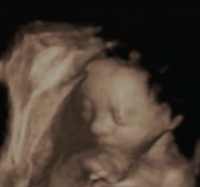 scan1.png