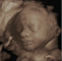 scan2.png