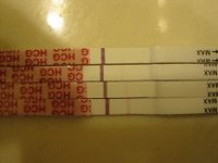 hcg.jpg