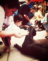 pettinggoat.jpg