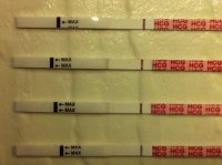 10dpo Tests.jpg