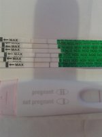 progression pics.jpg