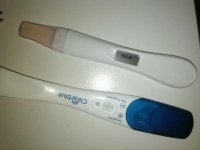 PregTestPos_Aug2013.jpg
