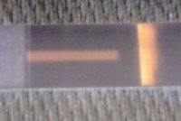 IMG_20130822_094433.jpg