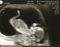 13weeks2.jpg